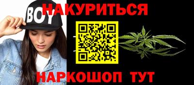 гидра Кингисепп
