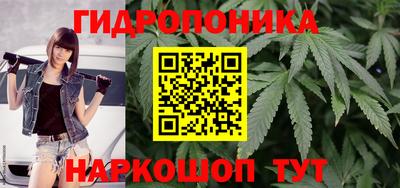 сатива Камышлов
