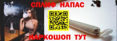 сатива Камышлов