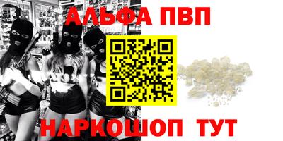 гидра Кингисепп