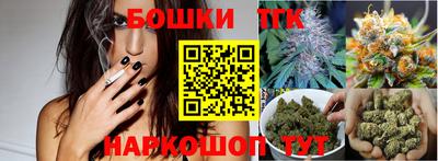 гидра Кингисепп